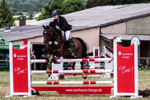 20150628_Springreiten-Boesingfeld_0006.jpg