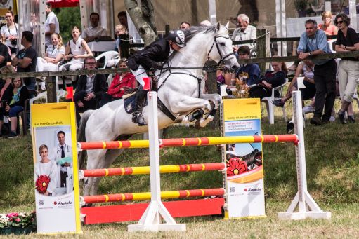 20150628_Springreiten-Boesingfeld_0012.jpg
