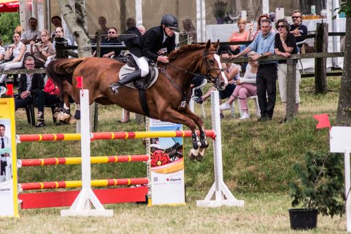 20150628_Springreiten-Boesingfeld_0023.jpg