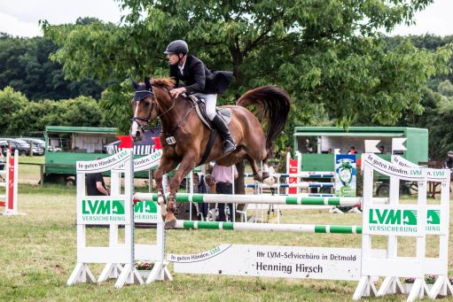 20150628_Springreiten-Boesingfeld_0104.jpg