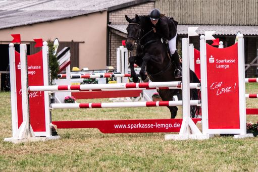 20150628_Springreiten-Boesingfeld_0346.jpg