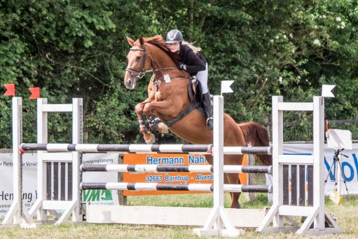 20150628_Springreiten-Boesingfeld_0187.jpg