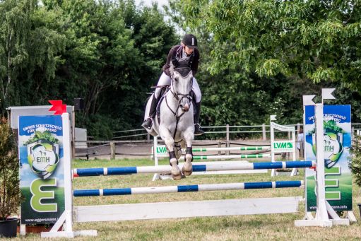 20150628_Springreiten-Boesingfeld_0204.jpg