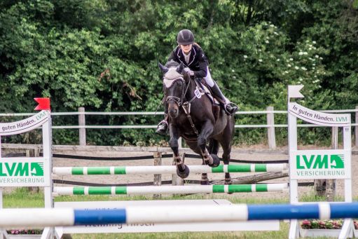 20150628_Springreiten-Boesingfeld_0289.jpg
