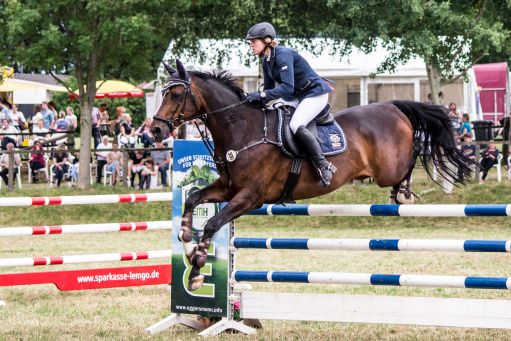 20150628_Springreiten-Boesingfeld_0036.jpg