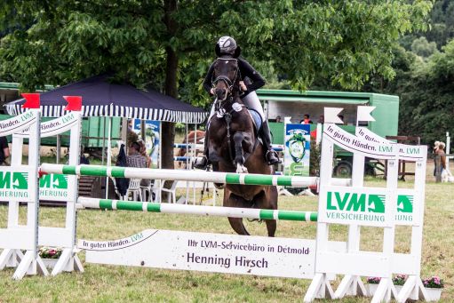 20150628_Springreiten-Boesingfeld_0099.jpg