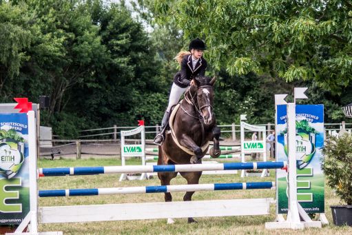 20150628_Springreiten-Boesingfeld_0219.jpg