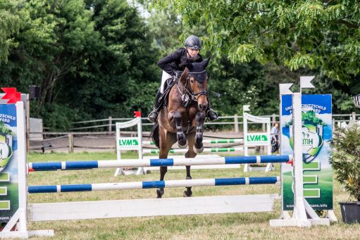 20150628_Springreiten-Boesingfeld_0241.jpg