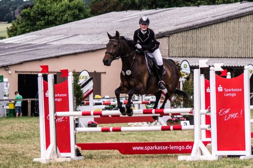 20150628_Springreiten-Boesingfeld_0276.jpg