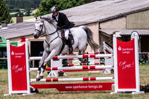20150628_Springreiten-Boesingfeld_0009.jpg