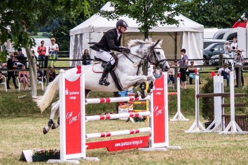 20150628_Springreiten-Boesingfeld_0086.jpg