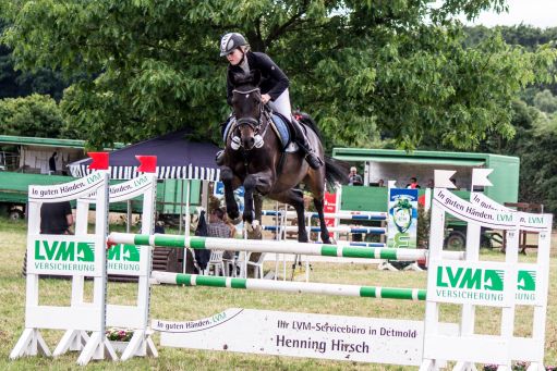 20150628_Springreiten-Boesingfeld_0101.jpg