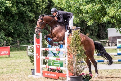 20150628_Springreiten-Boesingfeld_0184.jpg