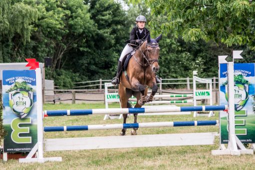 20150628_Springreiten-Boesingfeld_0332.jpg