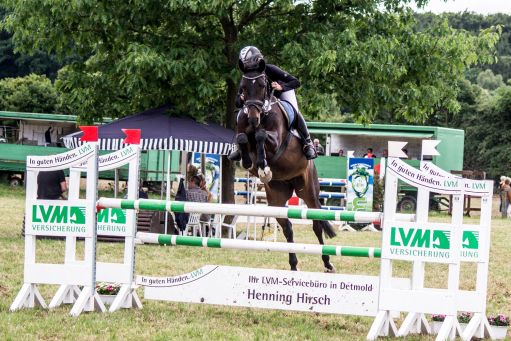 20150628_Springreiten-Boesingfeld_0103.jpg