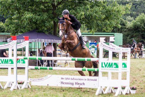 20150628_Springreiten-Boesingfeld_0105.jpg