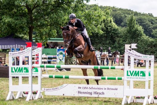 20150628_Springreiten-Boesingfeld_0115.jpg