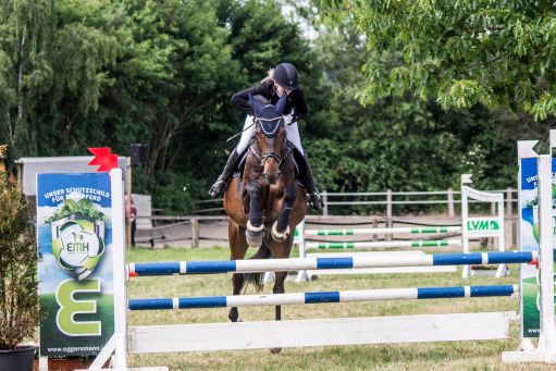 20150628_Springreiten-Boesingfeld_0232.jpg