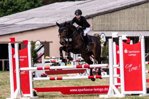 20150628_Springreiten-Boesingfeld_0235.jpg