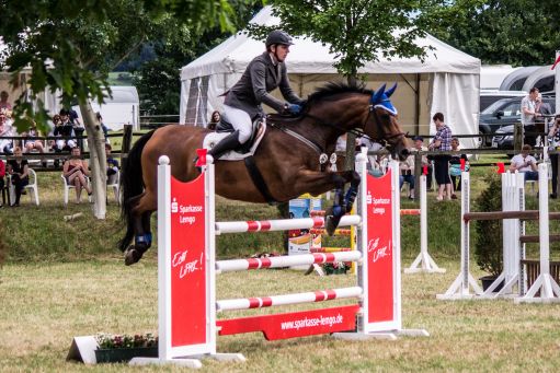 20150628_Springreiten-Boesingfeld_0068.jpg