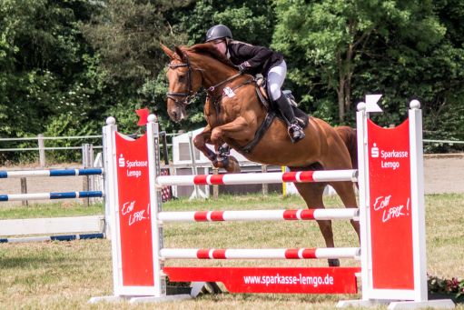 20150628_Springreiten-Boesingfeld_0191.jpg