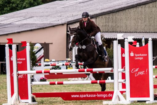 20150628_Springreiten-Boesingfeld_0308.jpg