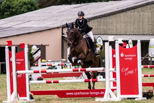 20150628_Springreiten-Boesingfeld_0327.jpg