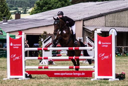 20150628_Springreiten-Boesingfeld_0005.jpg