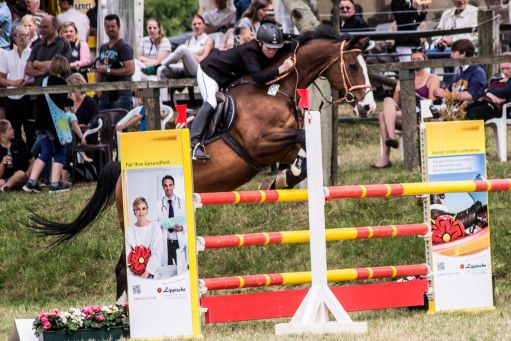 20150628_Springreiten-Boesingfeld_0030.jpg