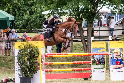 20150628_Springreiten-Boesingfeld_0143.jpg