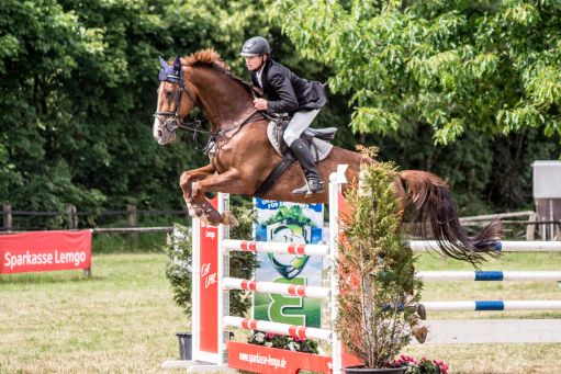 20150628_Springreiten-Boesingfeld_0177.jpg
