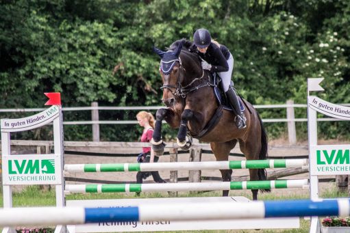 20150628_Springreiten-Boesingfeld_0229.jpg