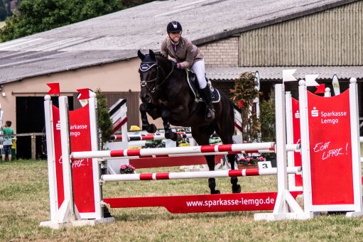 20150628_Springreiten-Boesingfeld_0256.jpg