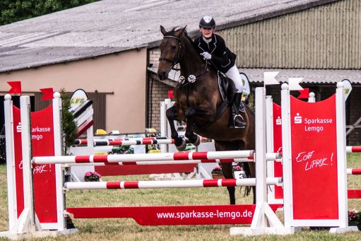 20150628_Springreiten-Boesingfeld_0273.jpg