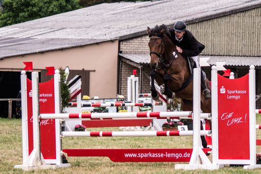 20150628_Springreiten-Boesingfeld_0334.jpg