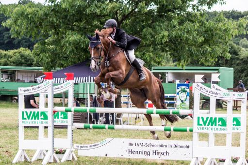 20150628_Springreiten-Boesingfeld_0106.jpg