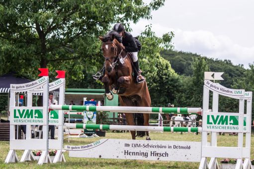 20150628_Springreiten-Boesingfeld_0127.jpg