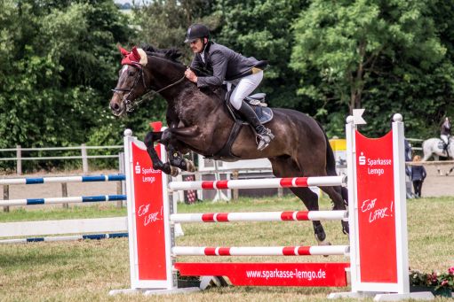 20150628_Springreiten-Boesingfeld_0163.jpg