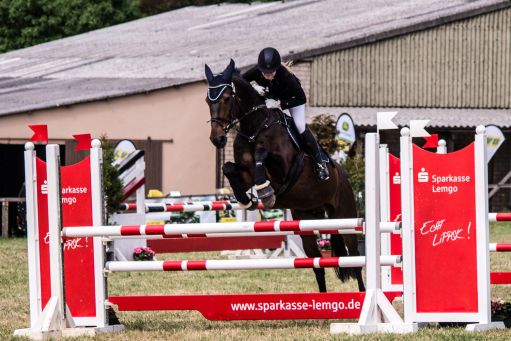 20150628_Springreiten-Boesingfeld_0227.jpg