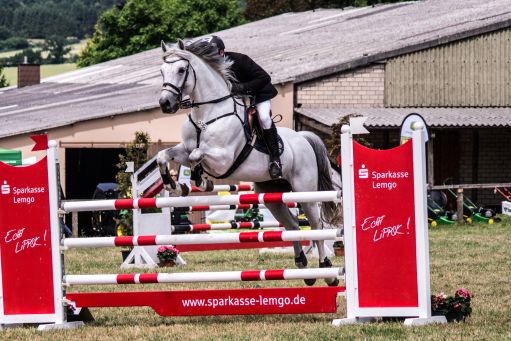 20150628_Springreiten-Boesingfeld_0008.jpg