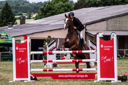 20150628_Springreiten-Boesingfeld_0022.jpg