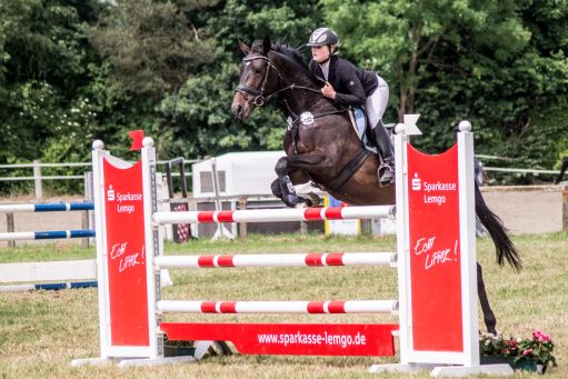 20150628_Springreiten-Boesingfeld_0168.jpg