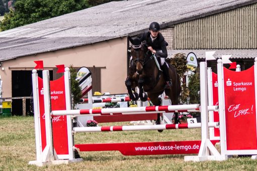 20150628_Springreiten-Boesingfeld_0245.jpg