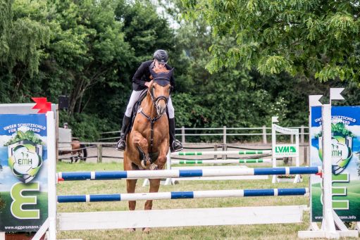 20150628_Springreiten-Boesingfeld_0306.jpg