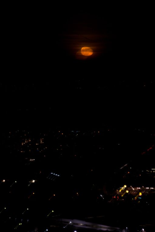 DSC02286.jpg