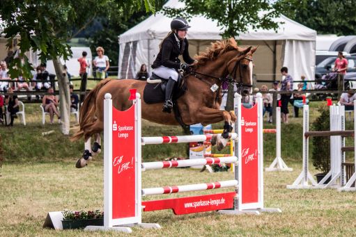 20150628_Springreiten-Boesingfeld_0079.jpg