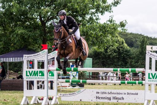 20150628_Springreiten-Boesingfeld_0122.jpg