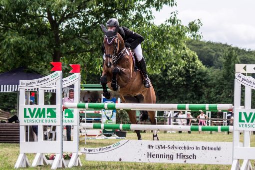 20150628_Springreiten-Boesingfeld_0123.jpg