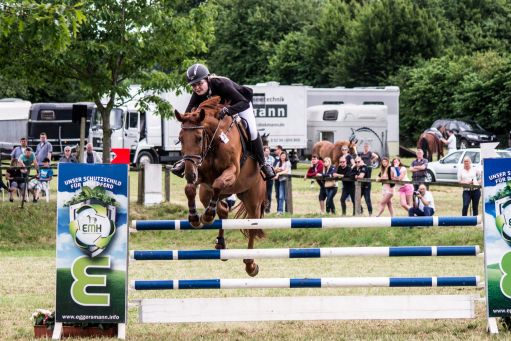 20150628_Springreiten-Boesingfeld_0140.jpg