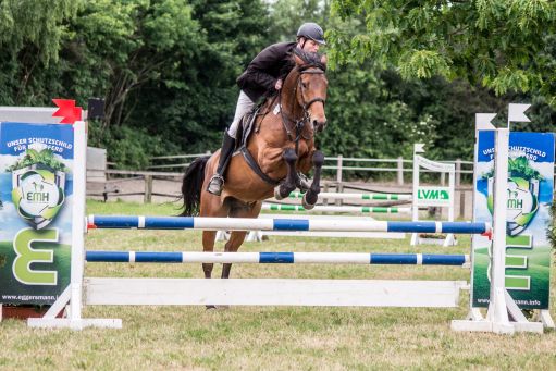 20150628_Springreiten-Boesingfeld_0341.jpg